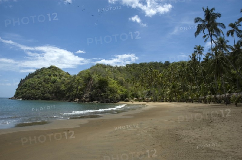 VENEZUELA, Sucre State, Playa Medina, View along a tropical beach.