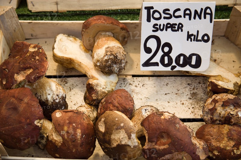 ITALY, Veneto, Venice, Toscana Portabello mushrooms for sale in the vegetable market in the San Polo and Santa Croce district beside the Rialto Bridge on the Grand Canal