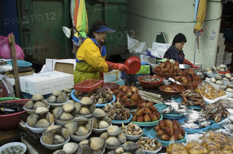 SOUTH KOREA, Yeongnam, Busan, "Seafood vendor at Jagalchi Market, the largest fish market in Korea"