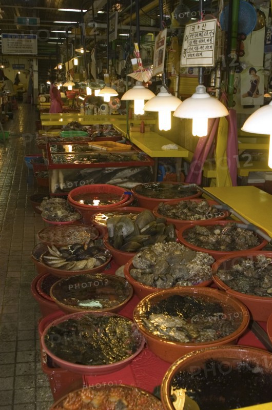 SOUTH KOREA, Yeongnam, Busan, "Shellfish in Shin Dong-A Building, Jagalchi Market"