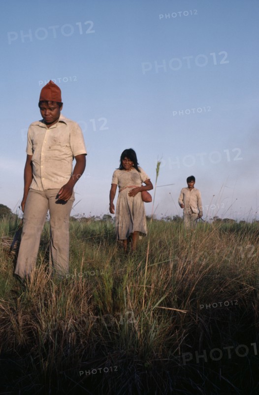 COLOMBIA, Casanare, Llanos Orientales, Cuiva Indians  recently contacted  now clothed  returning to missionised village in the Llanos  close to river Casanare  Tribal Indigenous Colombian Columbia Hispanic Indegent Latin America Latino South America
