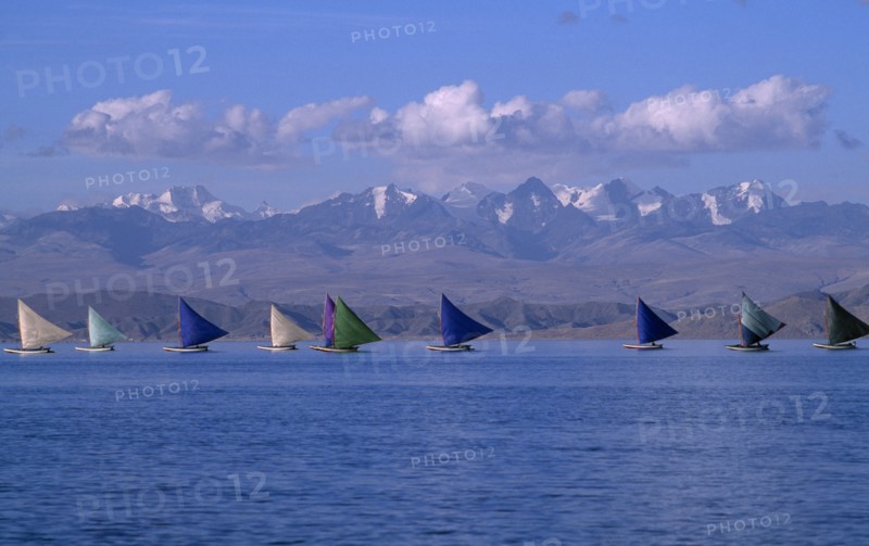 BOLIVIA, La Paz, Lake Titicaca, Isla Suriqui.  Boats with coloured sails taking part in sailing regatta with mountain backdrop.