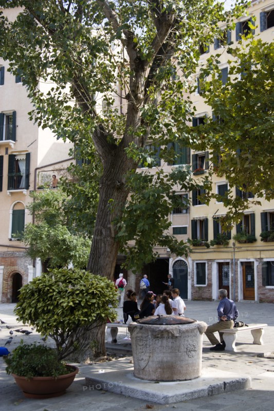 ITALY, Veneto, Venice, "Adults and children under a tree beside a capped well in the square of the Ghetto Novo, the worlds first Jewish Ghetto"