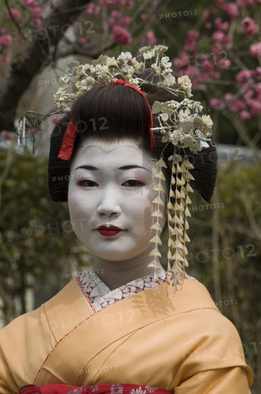 JAPAN, Honshu, Kyoto, Geisha in Sannen-zaka garden