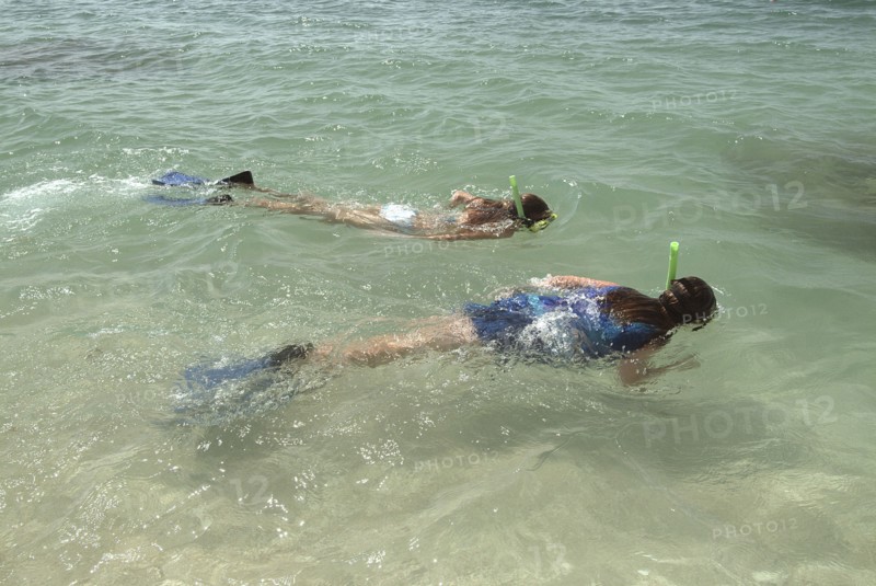 AUSTRALIA, Queensland, Fitzroy Island, Snorkelling on Nudie beach