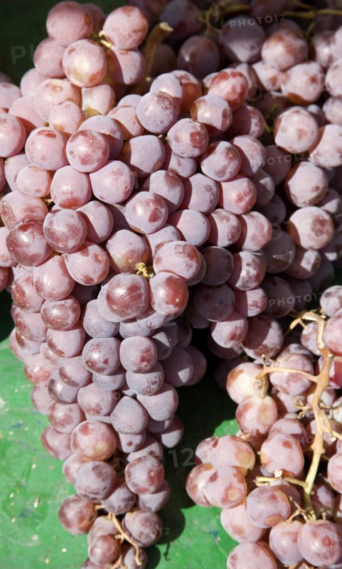 ENGLAND, West Sussex, Shoreham-by-Sea, French Market. Bunches of red grapes on market stall