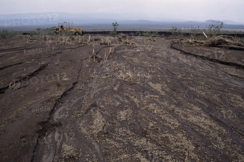 KENYA, Masai Mara, Landscape, Overgrazing on the hillsides has caused massive flooding and removal of the topsoil.