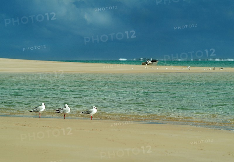 Australia, Western Australia, Lefroy Bay, Lefroy Bay with Indian Ocean and Ningaloo reef behind.
