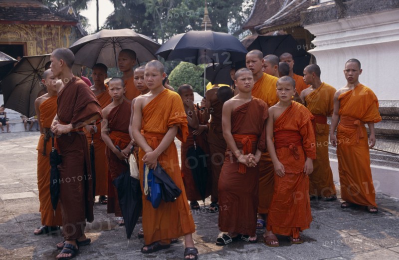 LAOS, Luang Prabang, "Group of young, Buddhist monks, some holding umbrellas as sun shades."