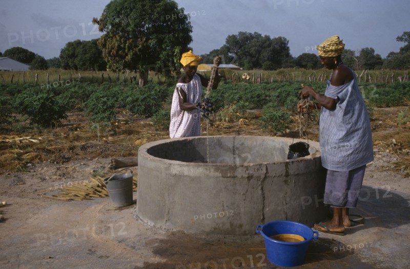 GAMBIA, Agriculture, Women collecting water from well for vegetable plots.