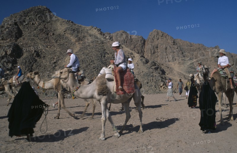 EGYPT, Eastern Desert, Bedouin women dressed in black leading tourists along on camels