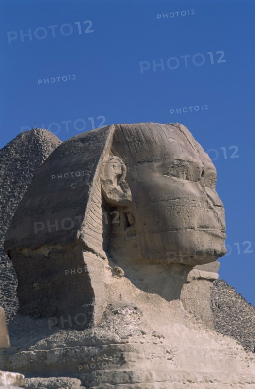 EGYPT, Cairo Area, Giza, Side profile of Sphinx with the pyramid of Kharfe of Khephren behind