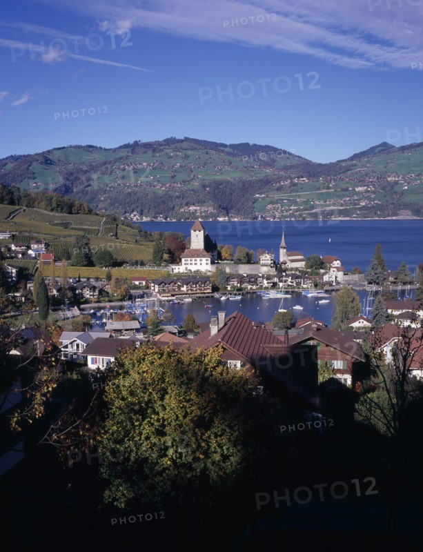 SWITZERLAND, Bernese Oberland, Spiez , View across trees and roof tops towards Spiez Village and the south bank of Lake Thunersee with yachts on the water