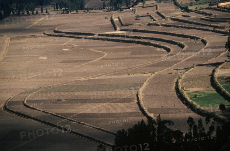 PERU, Cusco, Agriculture, Contour ploughing and terraces near Pisac.