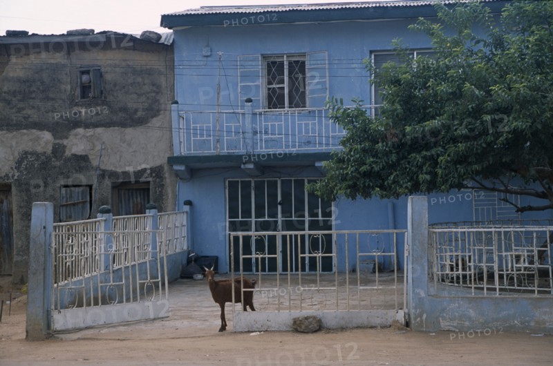 NIGERIA, Kano, "Typical house with blue painted exterior, white metal balcony and courtyard with goat standing in gateway."