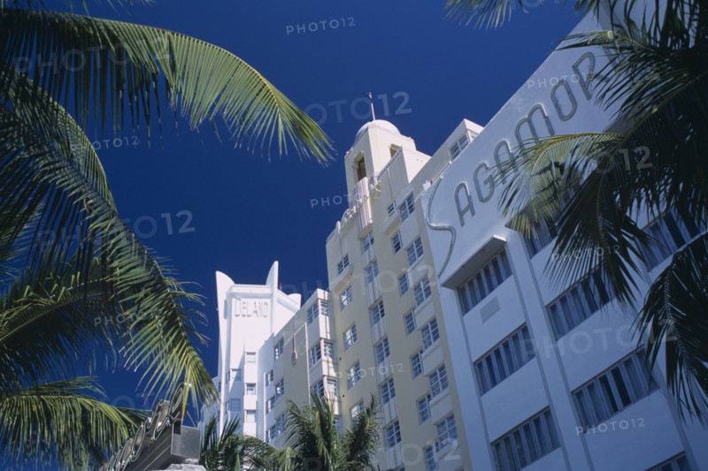 USA, Florida, Miami, "South Beach. Collins Avenue. The Delano, The National and The Sagamore Hotel facades framed by  palm tree branches"