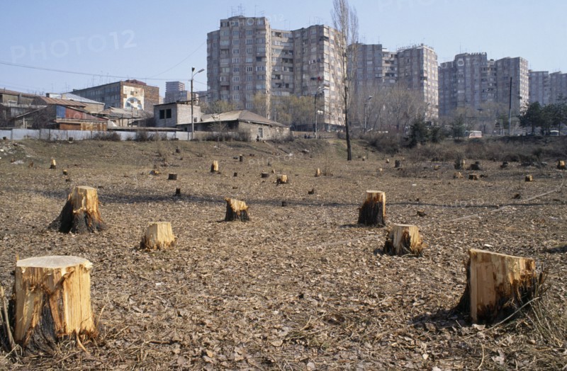 ARMENIA, Yerevan, Outskirts of city with trees chopped down for firewood for heating and cooking.  People had no electricity or gas due to economic blockade of Armenia by Azerbaijan.