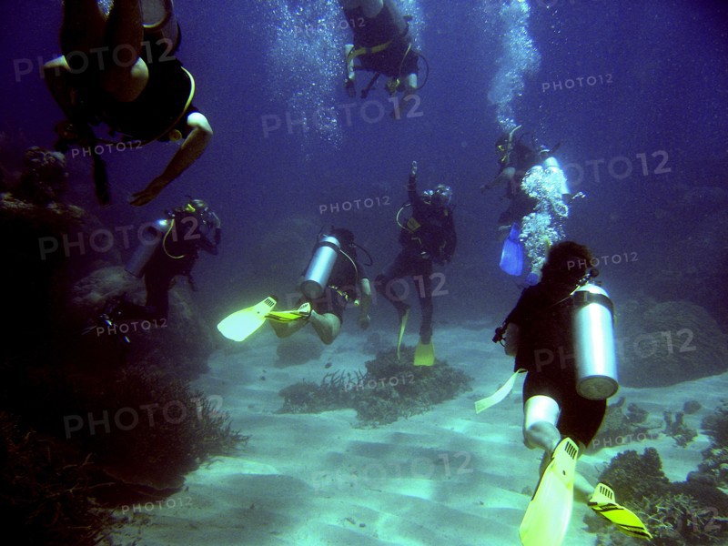 Australia, Queensland, Cairns, "Divers converge on the instructor during dive on Agincourt Reef, outer GBR."