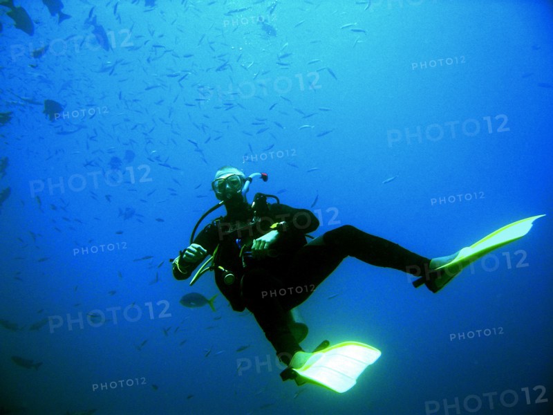 Australia, Queensland, Cairns, Dive instructor - Dive instructor keeping an eye on his flock.
