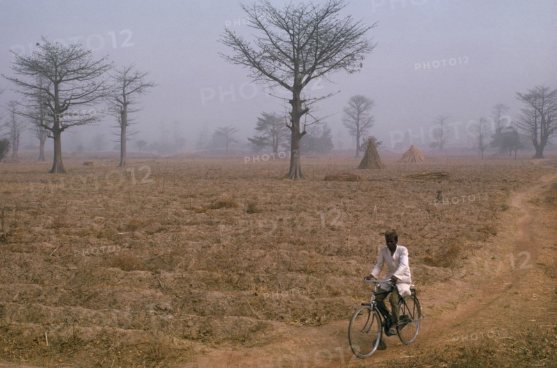 NIGERIA, Environment, "Dry and dusty northeast tradewind or harmattan blowing over groundnut fields near Kaduna, an area of arid agricultural land.  Cyclist in foreground."