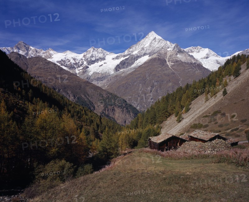 SWITZERLAND, Valais, Ottavan Hamlet , Storage Barns high above Mattertal Weisshorn Mountain 14757ft  ) on west skyline