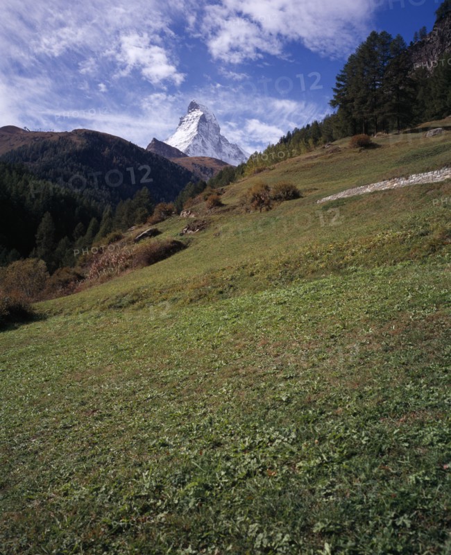 SWITZERLAND, Valais, Zermatt, Upper Mattertal. Green grass slopes with snow capped Matterhorn Mountain 4478metres (14665ft ) seen in the distance