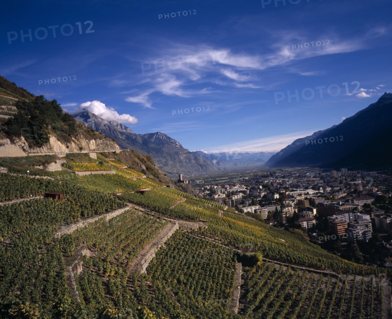 SWITZERLAND, Valais, Martigny, Elevated view east along Rhone Valley above Vinyards and Town of Martigny.