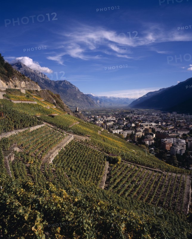 SWITZERLAND, Valais, Martigny, Elevated view east along Rhone Valley above Vinyards and town