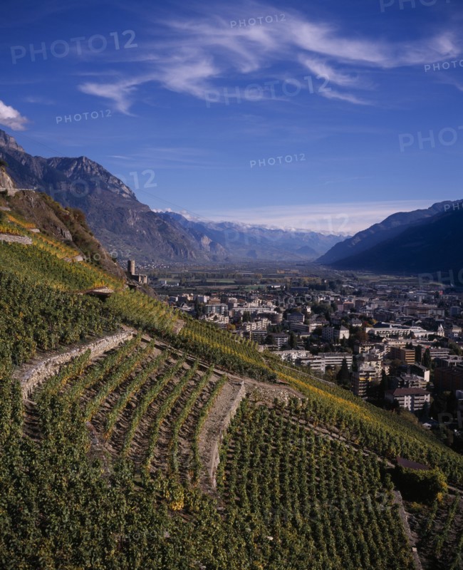 SWITZERLAND, Valais, Martigny, Elevated view east along Rhone Valley above Vineyards and town