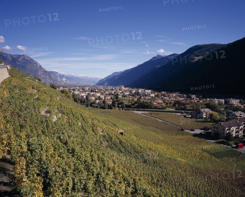 SWITZERLAND, Valais, Martigny, Elevated view east along Rhone Valley above Vineyards and town