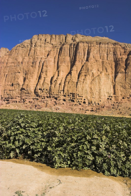 AFGHANISTAN, Bamiyan Province, Bamiyan , Caves in cliffs near empty niche where the famous carved small Budda once stood 180 foot high before being destroyed by the Taliban in 2001