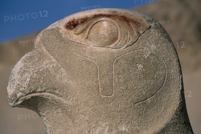EGYPT, Nile Valley, Thebes, Deir-el-Bari. Hepshepsut Mortuary Temple. Carved statue  of the God Horus represented as a falcon