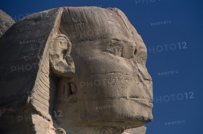 EGYPT, Cairo Area, Giza, The Sphinx. Side profile of head