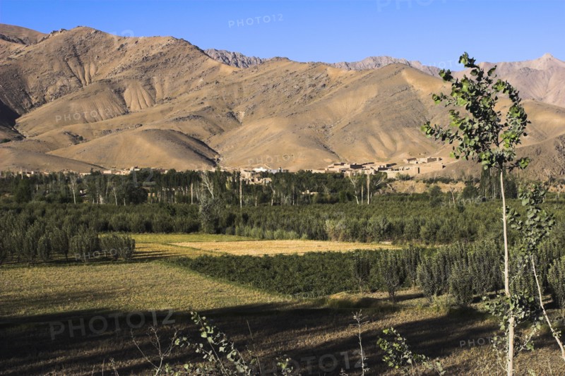 AFGHANISTAN, Sar-e-Cheshma , "Between Kabul and Bamiyan (the southern route), Fields near Sar-e-Cheshma (Sarcheshma)"