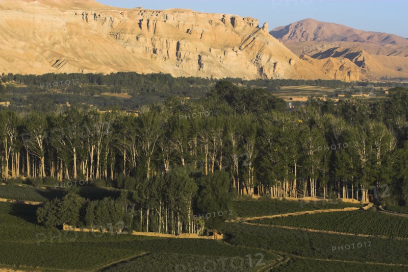 AFGHANISTAN, Bamiyan Province, Bamiyan, Cliffs of the valley