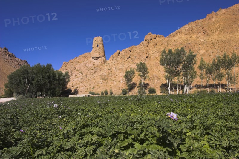 AFGHANISTAN, Bamiyan Province, Bamiyan, "Kakrak valley, watchtower at ruins which were once the site of a 21ft standing Buddha in a niche, discovered in 1030 and surrounded by caves whose Buddhists paintings thought to date from the 9th and 9th Centuries AD but removed by French archaeologists and put in the National musuem in Kabul "