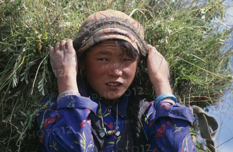 NEPAL, Mustang, Lo Manthang, Portrait of young girl carrying load of harvested grasses supported by strap around her forehead.