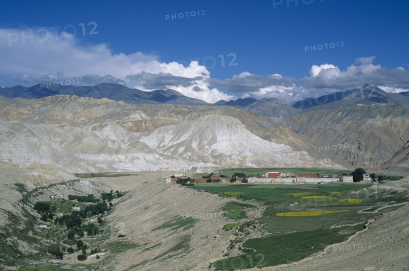 NEPAL, Mustang, Lo Manthang, "Distant view of Mustang’s capital Lo Manthang surrounded by green, cultivated fields and mountain backdrop."