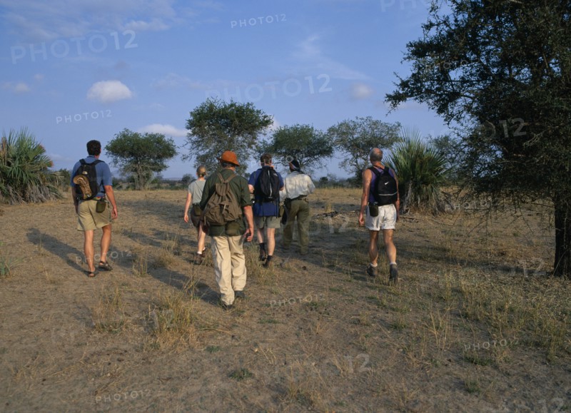TANZANIA, Selous Game Reserve, Group of tourists on walking safari carrying rucksacks and water bottles with guide carrying rifle.