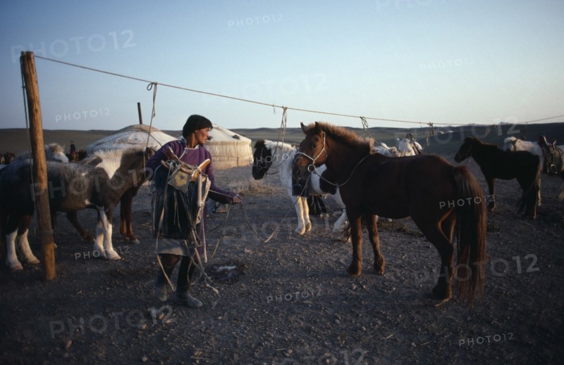 MONGOLIA, Gobi Desert, Transport, Man about to saddle up at horse lines with yurts behind in early morning light.