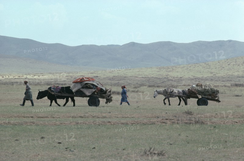 MONGOLIA, Animals, Nomad family leading yak and horse drawn carts laden with their belongings through open landscape.