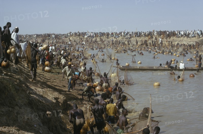 NIGERIA, North, Argungu, "Fishing Festival, mass of men and nets along stretch of river and bank."