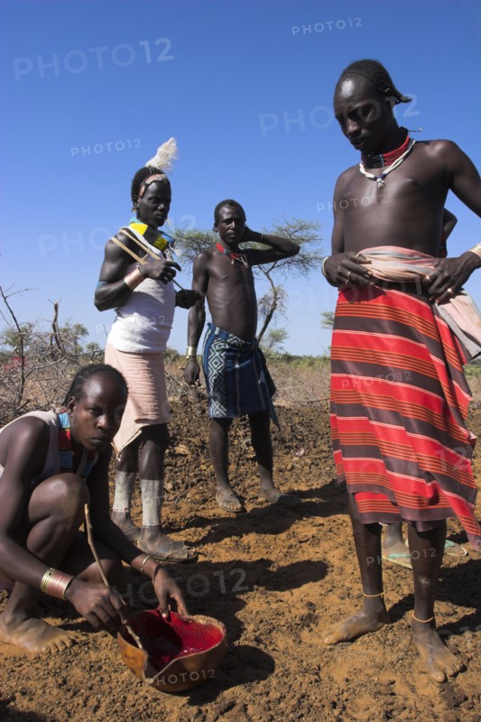 ETHIOPIA, Lower Omo Valley, Tumi, "Dombo village, Hamer man stirring cows bood ready for drinking"