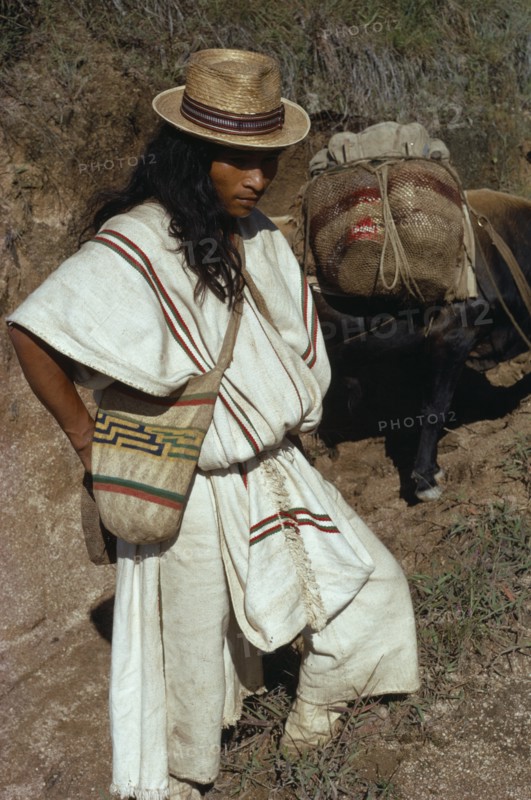COLOMBIA, Sierra Nevada de Santa Marta, Ika, Ika man in traditional dress with hand-sewn wool&cotton mochila shoulder bag takes supplies into the Sierra by mule. Arhuaco Aruaco indigenous tribe American Classic Classical Colombian Colombia Hispanic Historical Indegent Latin America Latino Male Men Guy Older South America  Arhuaco Aruaco indigenous tribe American Classic Classical Colombian Columbia Hispanic Historical Indegent Latin America Latino Male Men Guy Older South America History Male Man Guy One individual Solo Lone Solitary 1 Single unitary
