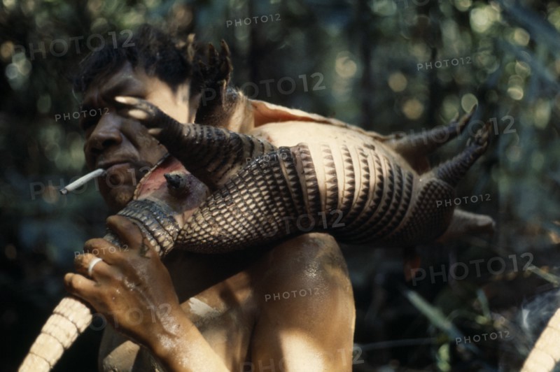 COLOMBIA, North West Amazon , Vaupes, Maku nomadic hunter  Umero  returns from forest with armadillo carcass. indigenous tribe indian nomadic American Colombian Colombia Hispanic Indegent Latin America Latino South America Vaupes  indigenous tribe indian nomadic American Colombian Columbia Hispanic Indegent Latin America Latino South America Vaupes One individual Solo Lone Solitary Vaupes 1 Single unitary