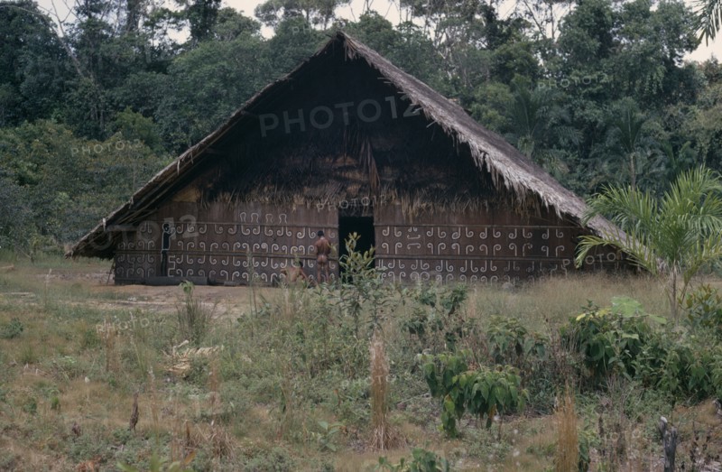 COLOMBIA, North West Amazon, Tukano Indigenous People, "Barasana men painting design, using white and yellow clay and black charcoal, on front of maloca  the communal family home.   Tukano sedentary tribe Indian North Western Amazonia maloca American Colombian Columbia Hispanic Indegent Latin America Latino Male Man Guy South America Tukano "