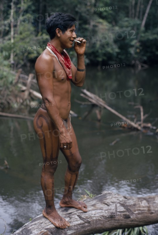 COLOMBIA, North West Amazon, Tukano Indigenous People, Barasana headman Bosco stands on log at river port smoking home grown tobacco  body painted dark purple with we leaf dye decoration Tukano sedentary Indian tribe North Western Amazonia body decoration Western influence American Colombian Columbia Hispanic Indegent Latin America Latino Male Men Guy South America Tukano