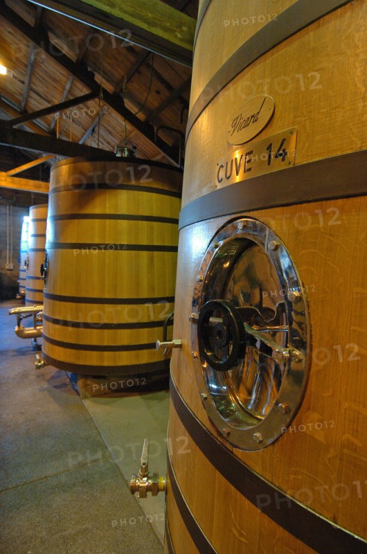 NEW ZEALAND, NORTH ISLAND, HAWKES BAY, "NAPIER, GENERAL VIEW OF THE CUVE ROOM AT CHURCH ROAD WINERY."