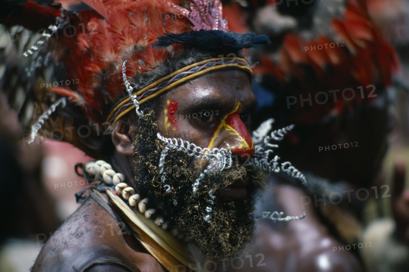 PAPUA NEW GUINEA, Chimbu, Head and shoulders portrait of man wearing traditional head-dress of red feathers with shell necklaces and nose piercing of white painted leaves.  Red and yellow face paint extending down nose and at side of eyes and beard tipped with yellow.