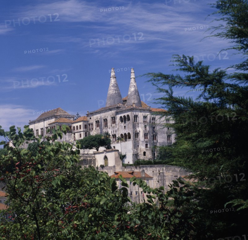 PORTUGAL, Estremadura, Sintra, The Royal Palace. Palacio Nacional de Sintra. Conical chimneys rising above palace seen through trees against a blue sky